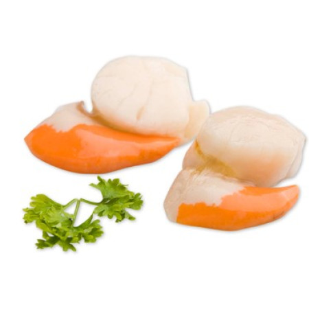 SCOICI SAINT JACQUES CU CORAL - 1 kg.