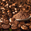 Cafea