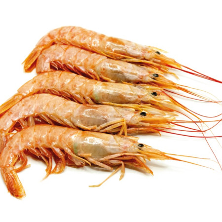 CREVETE AUSTRAL JUMBO 10/20  - 1 kg.