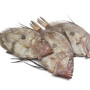 SFÂNTU PETRU - 1 kg.