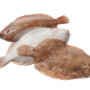 LIMBĂ DE MARE  - 1 kg.