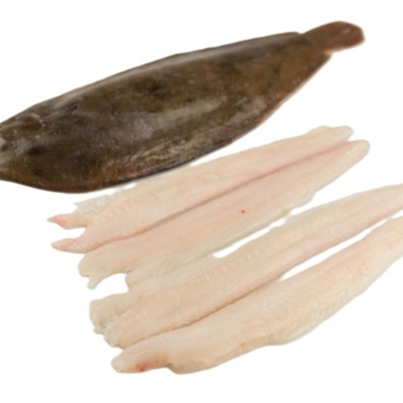 FILE LIMBĂ DE MARE  - 1 kg.