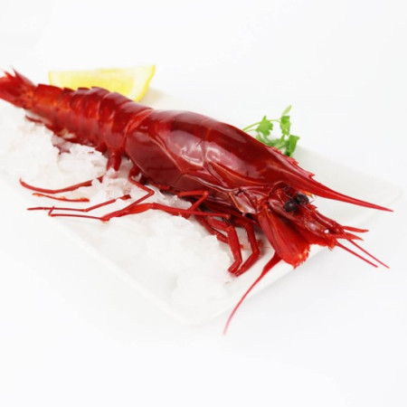 CREVEȚI CARABINERO BRILLIANT  - 1 kg.
