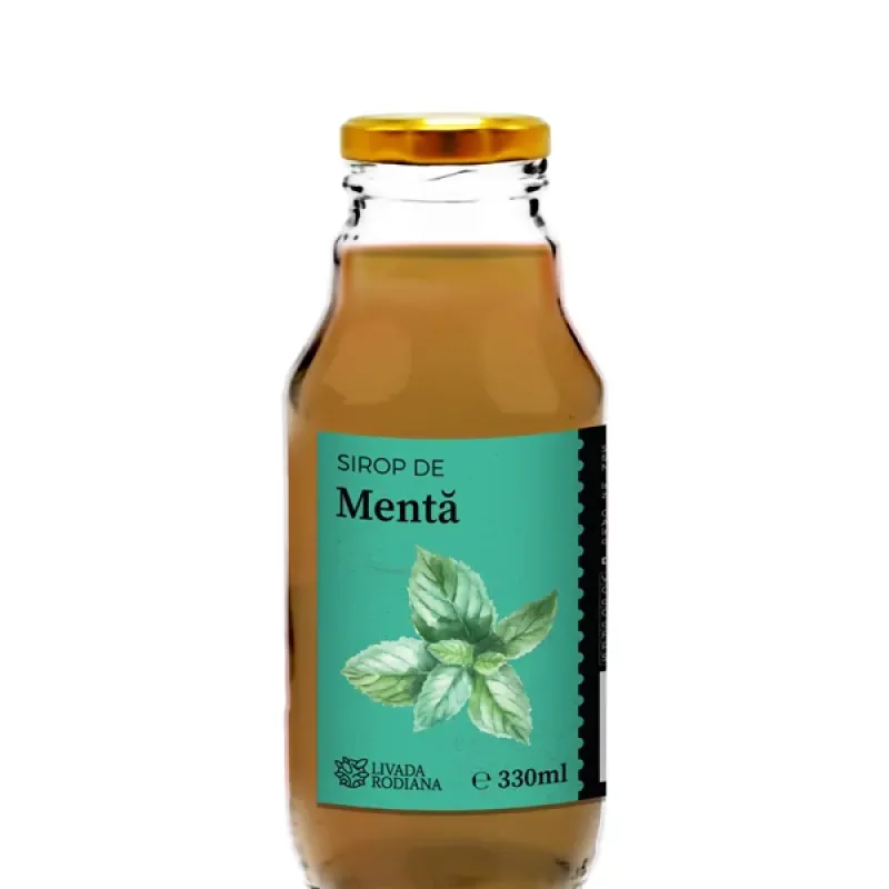 SIROP DE MENTA 330 ML