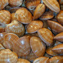 SCOICI TELLINES 250G